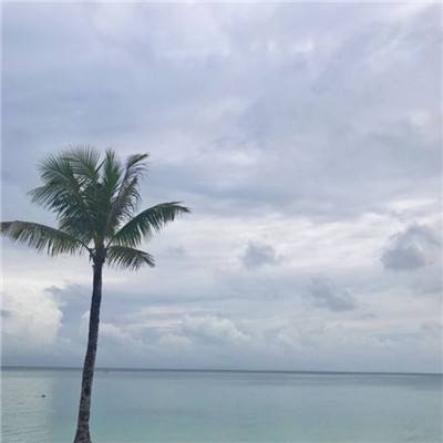 乱神诀手游官方下载