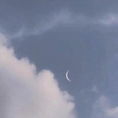 宝宝欢乐校园下载安装手机版最新